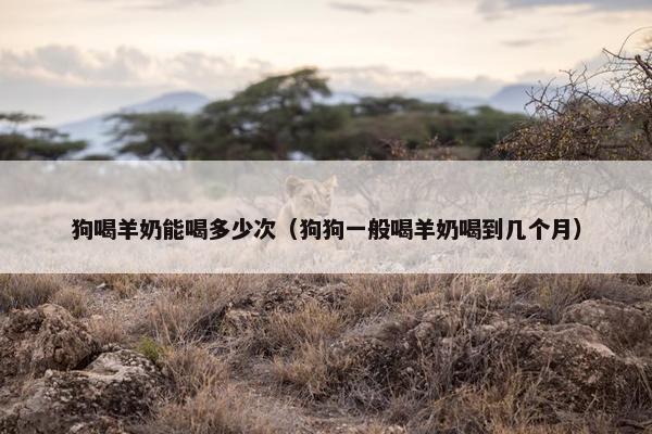狗喝羊奶能喝多少次（狗狗一般喝羊奶喝到几个月）