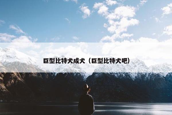 巨型比特犬成犬（巨型比特犬吧）