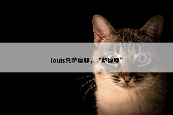 louis只萨摩耶，“萨摩耶”