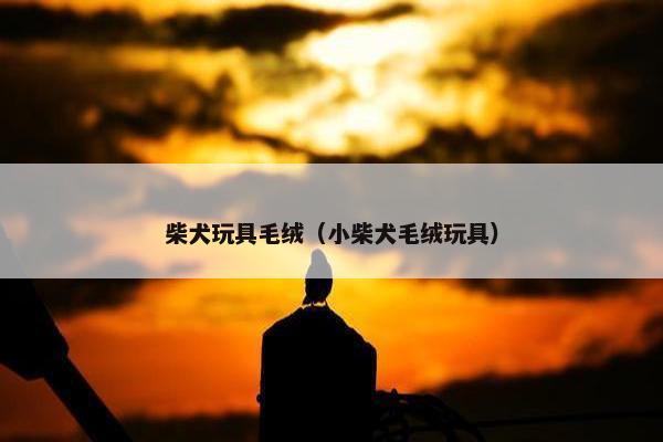 柴犬玩具毛绒（小柴犬毛绒玩具）