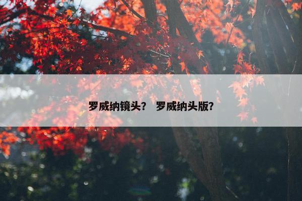 罗威纳镜头？ 罗威纳头版？