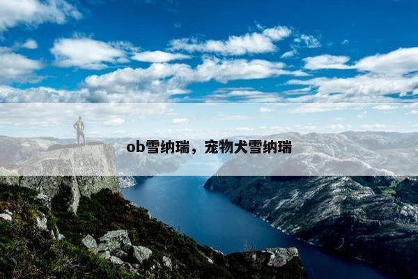 ob雪纳瑞，宠物犬雪纳瑞