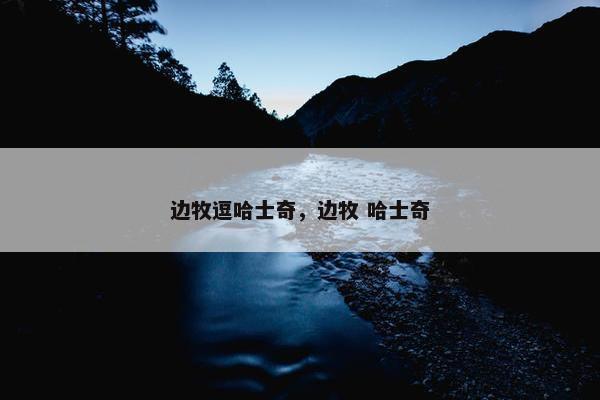 边牧逗哈士奇，边牧 哈士奇