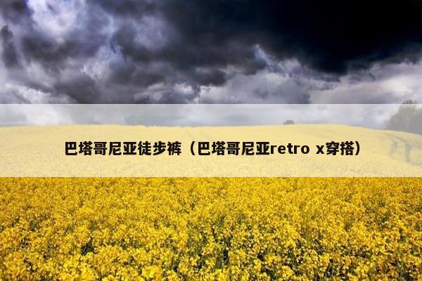 巴塔哥尼亚徒步裤（巴塔哥尼亚retro x穿搭）