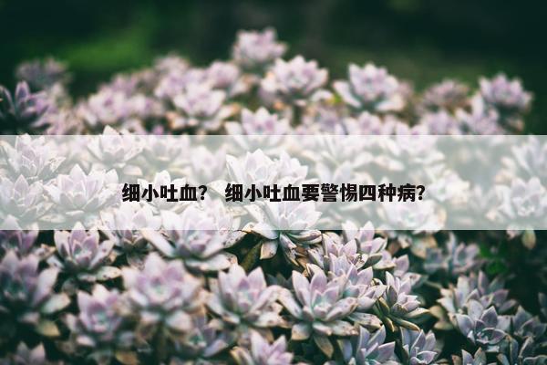 细小吐血？ 细小吐血要警惕四种病？