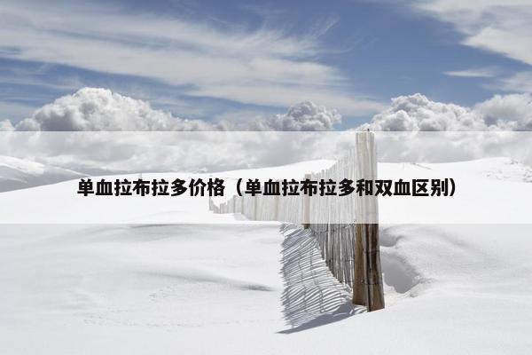 单血拉布拉多价格（单血拉布拉多和双血区别）