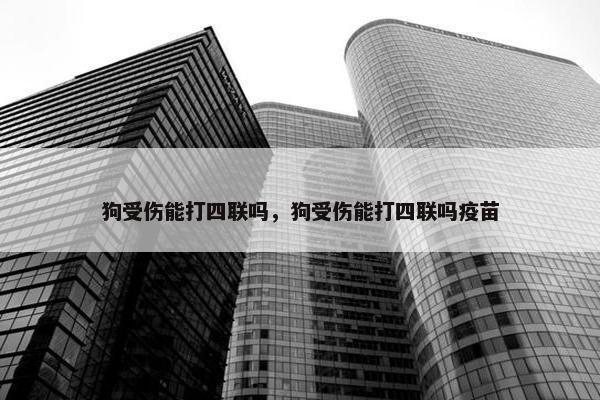 狗受伤能打四联吗，狗受伤能打四联吗疫苗
