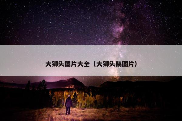 大狮头图片大全（大狮头鹅图片）