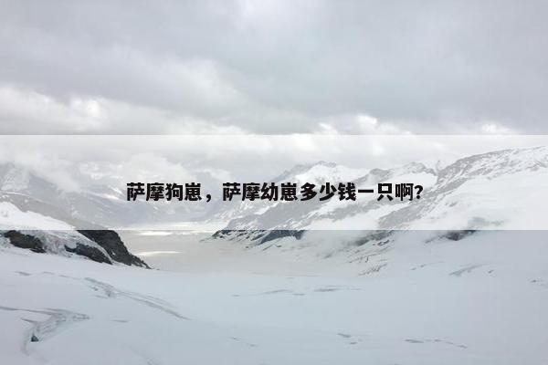 萨摩狗崽，萨摩幼崽多少钱一只啊?