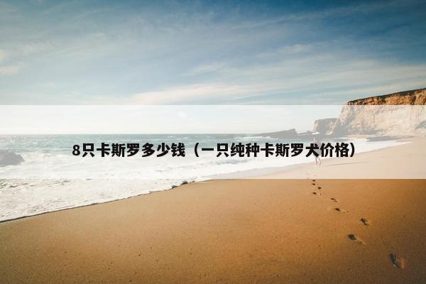 8只卡斯罗多少钱（一只纯种卡斯罗犬价格）