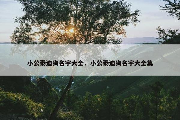 小公泰迪狗名字大全，小公泰迪狗名字大全集
