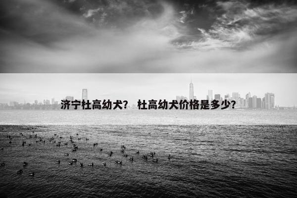 济宁杜高幼犬？ 杜高幼犬价格是多少？