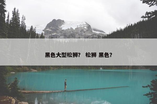 黑色大型松狮？ 松狮 黑色？