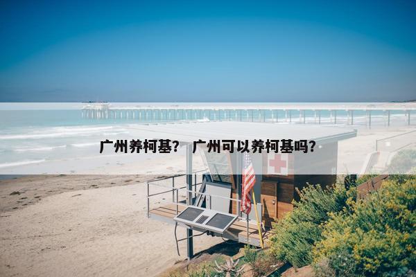 广州养柯基？ 广州可以养柯基吗？