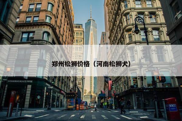 郑州松狮价格（河南松狮犬）