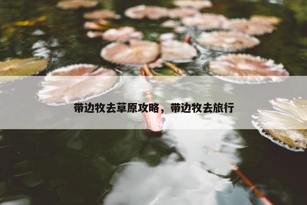 带边牧去草原攻略，带边牧去旅行