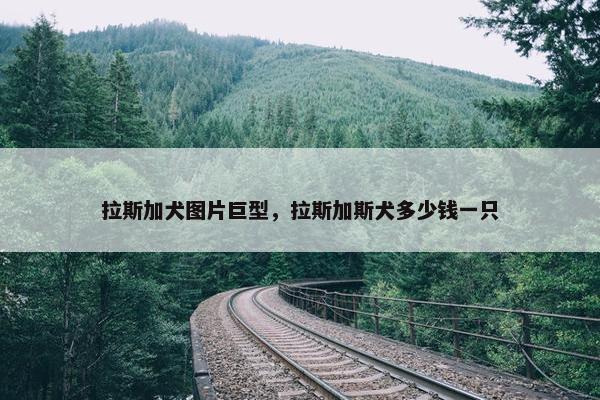 拉斯加犬图片巨型，拉斯加斯犬多少钱一只