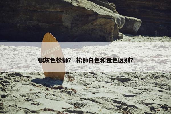 银灰色松狮？ 松狮白色和金色区别？