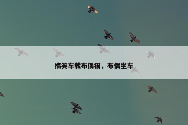 搞笑车载布偶猫，布偶坐车