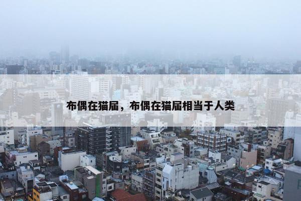 布偶在猫届，布偶在猫届相当于人类