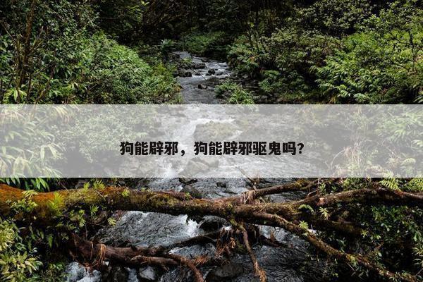 狗能辟邪，狗能辟邪驱鬼吗?