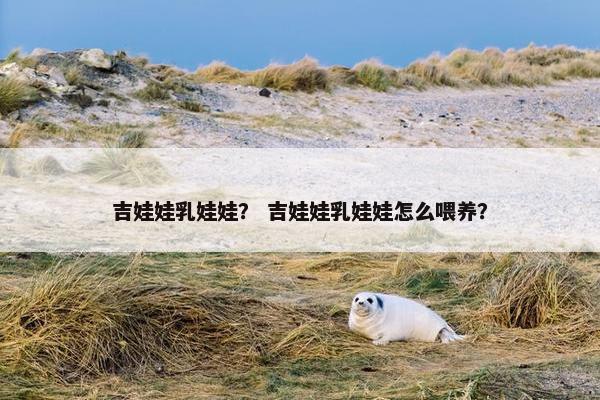吉娃娃乳娃娃？ 吉娃娃乳娃娃怎么喂养？