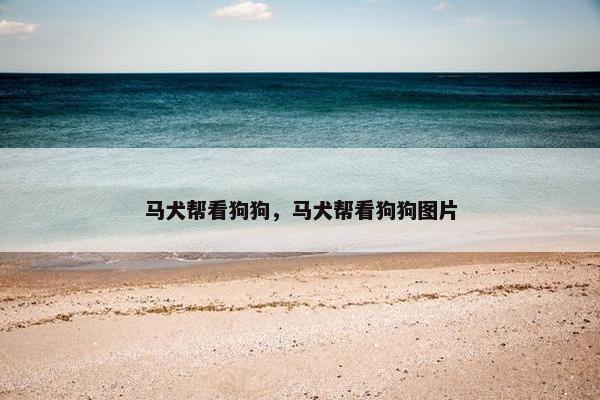 马犬帮看狗狗，马犬帮看狗狗图片