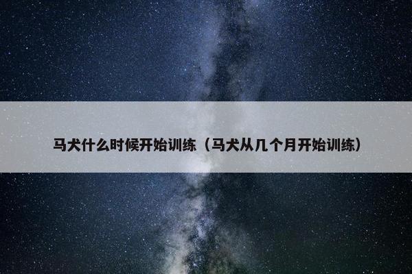 马犬什么时候开始训练（马犬从几个月开始训练）