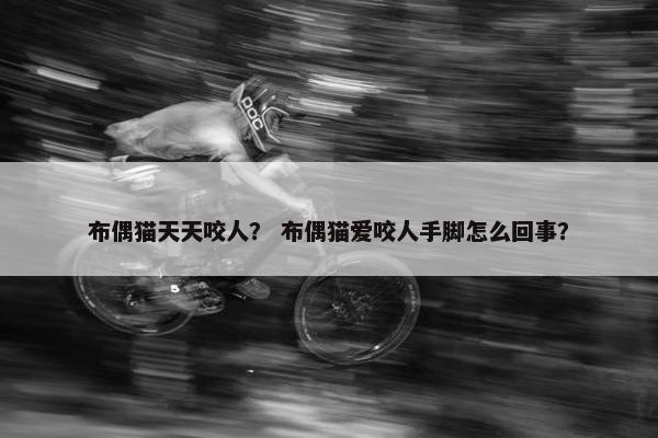 布偶猫天天咬人？ 布偶猫爱咬人手脚怎么回事？