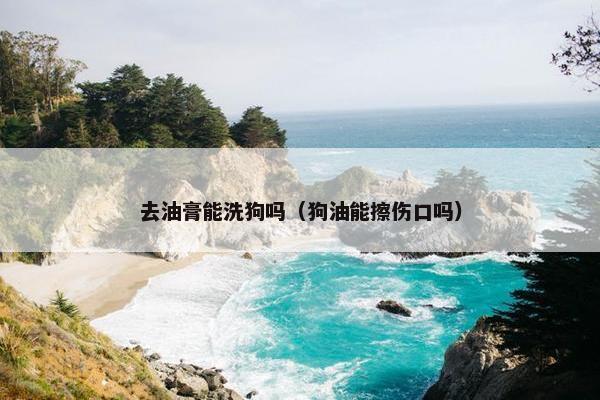 去油膏能洗狗吗（狗油能擦伤口吗）