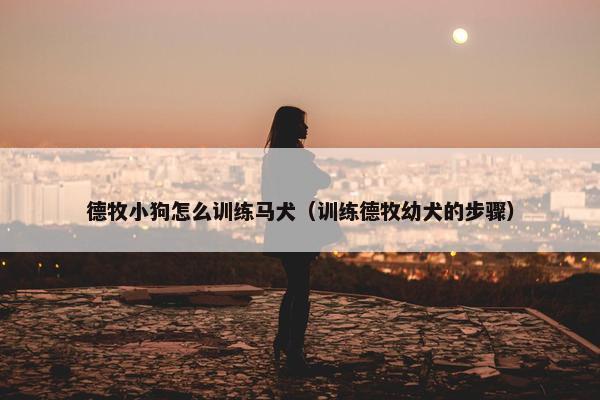 德牧小狗怎么训练马犬（训练德牧幼犬的步骤）