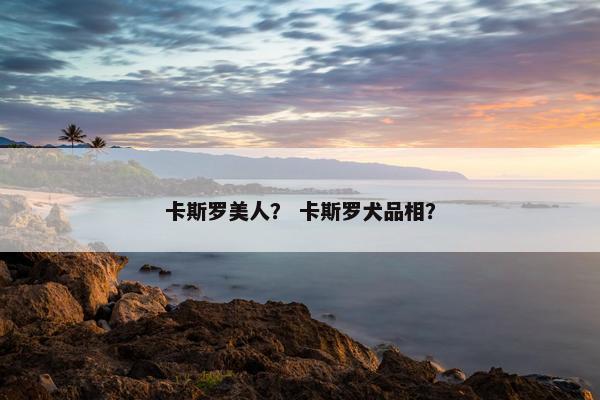 卡斯罗美人？ 卡斯罗犬品相？