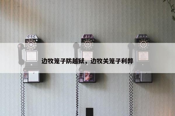 边牧笼子防越狱，边牧关笼子利弊
