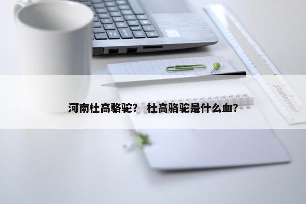 河南杜高骆驼？ 杜高骆驼是什么血？