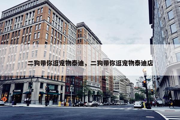 二狗带你逛宠物泰迪，二狗带你逛宠物泰迪店
