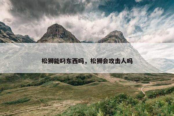 松狮能叼东西吗，松狮会攻击人吗