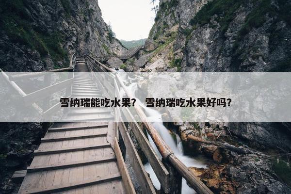 雪纳瑞能吃水果？ 雪纳瑞吃水果好吗？