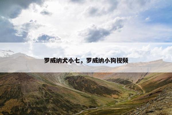 罗威纳犬小七，罗威纳小狗视频