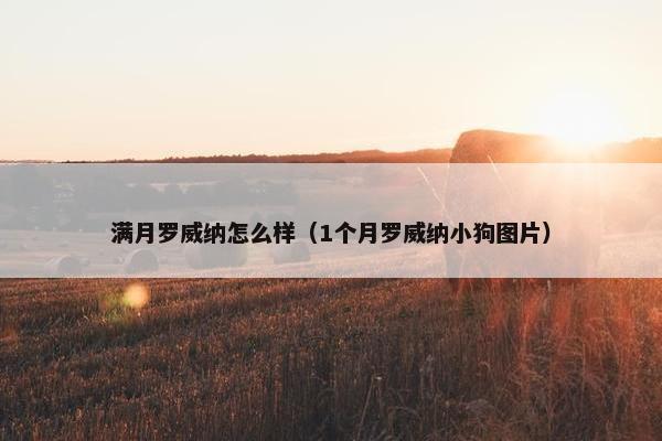 满月罗威纳怎么样（1个月罗威纳小狗图片）