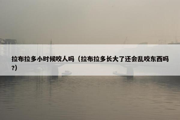 拉布拉多小时候咬人吗（拉布拉多长大了还会乱咬东西吗?）