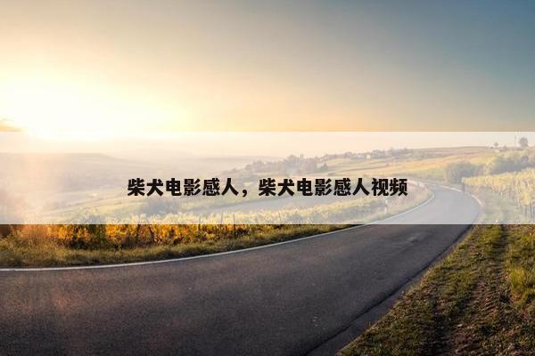 柴犬电影感人，柴犬电影感人视频
