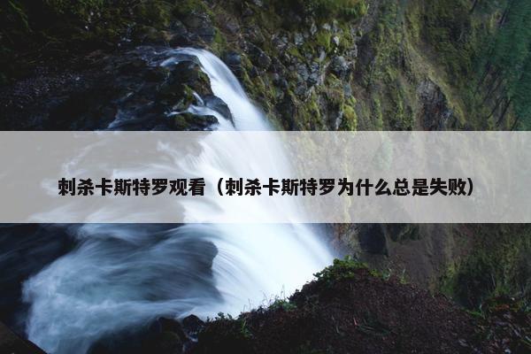 刺杀卡斯特罗观看（刺杀卡斯特罗为什么总是失败）