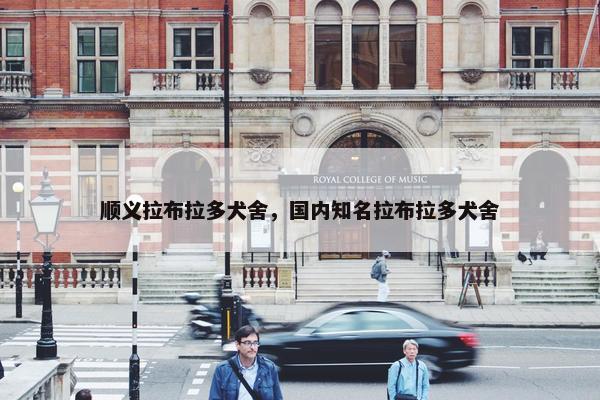 顺义拉布拉多犬舍，国内知名拉布拉多犬舍