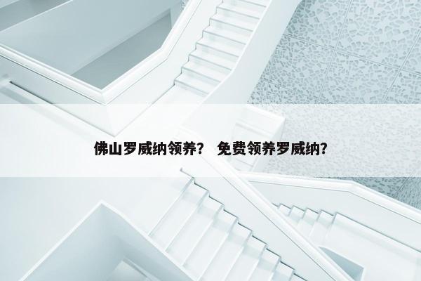 佛山罗威纳领养？ 免费领养罗威纳？