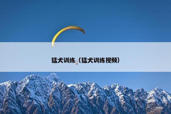 猛犬训练（猛犬训练视频）