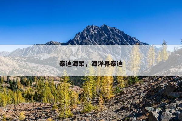 泰迪海军，海洋界泰迪