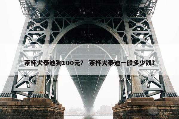 茶杯犬泰迪狗100元？ 茶杯犬泰迪一般多少钱？