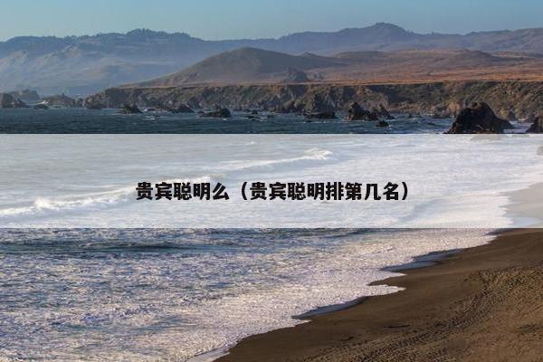 贵宾聪明么（贵宾聪明排第几名）