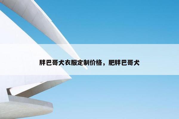 胖巴哥犬衣服定制价格，肥胖巴哥犬