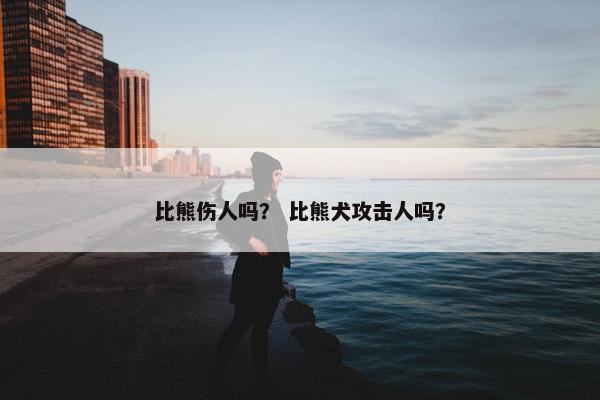 比熊伤人吗？ 比熊犬攻击人吗？